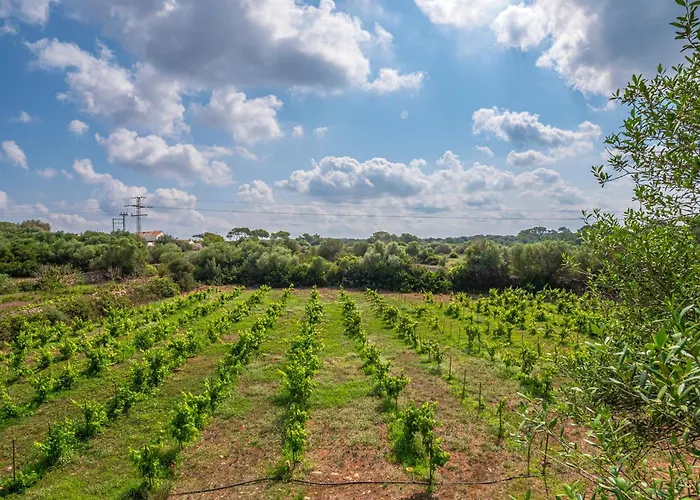 בית נופש Valentina פרריאס