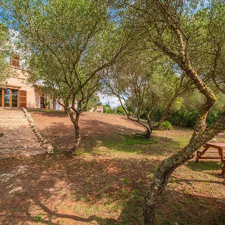 Ferienhaus Valentina Ferreries